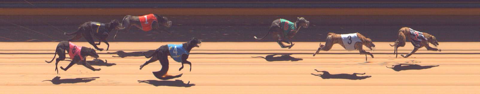 Photo finish for Bendigo Race 12