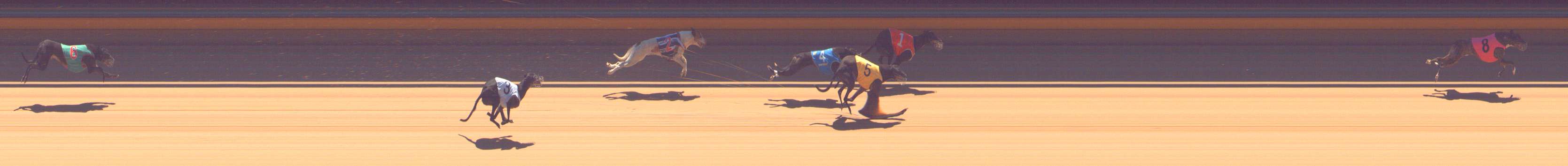 Photo finish for Bendigo Race 13