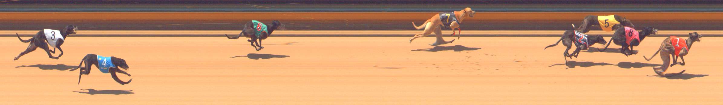 Race result finish photo