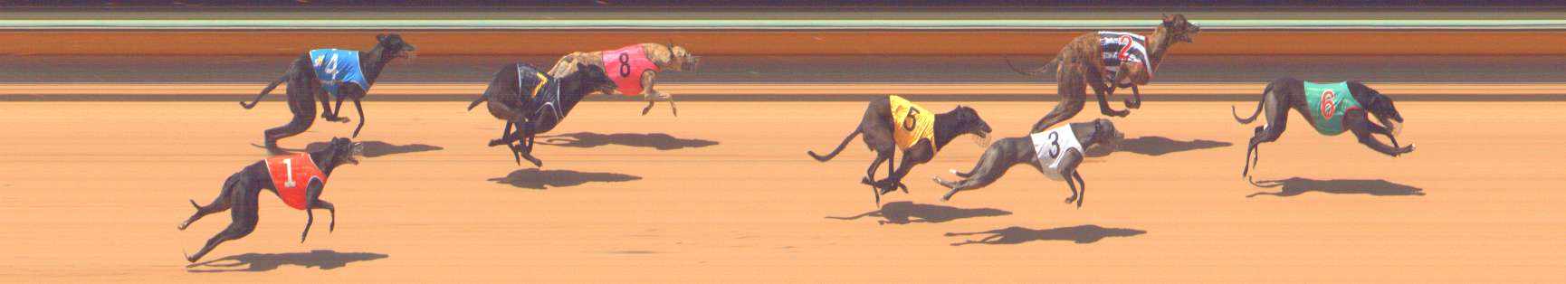 Photo finish for Bendigo Race 3