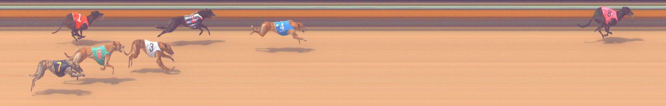 Photo finish for Bendigo Race 5