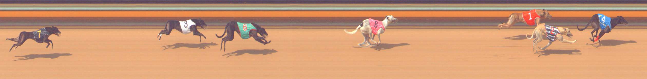 Photo finish for Bendigo Race 7