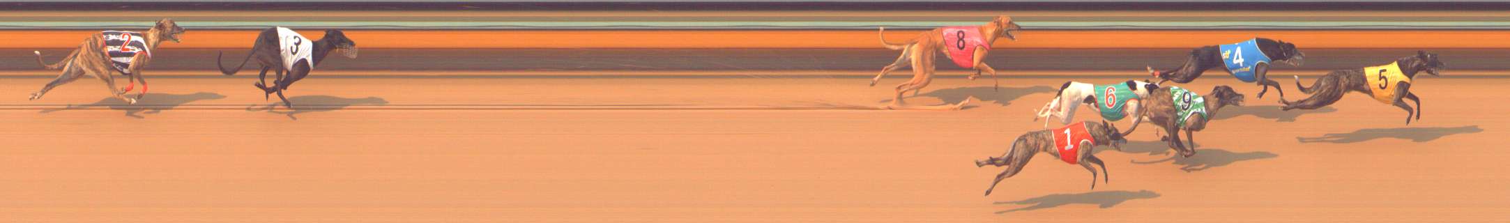 Photo finish for Bendigo Race 8