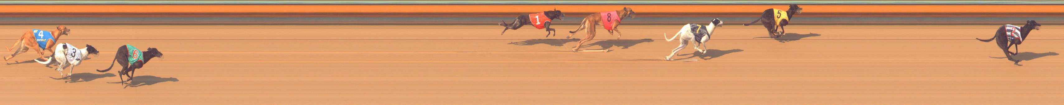Photo finish for Bendigo Race 9