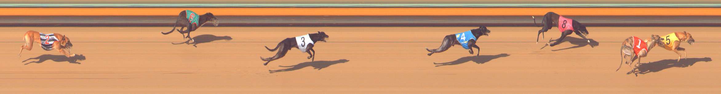 Photo finish for Bendigo Race 10