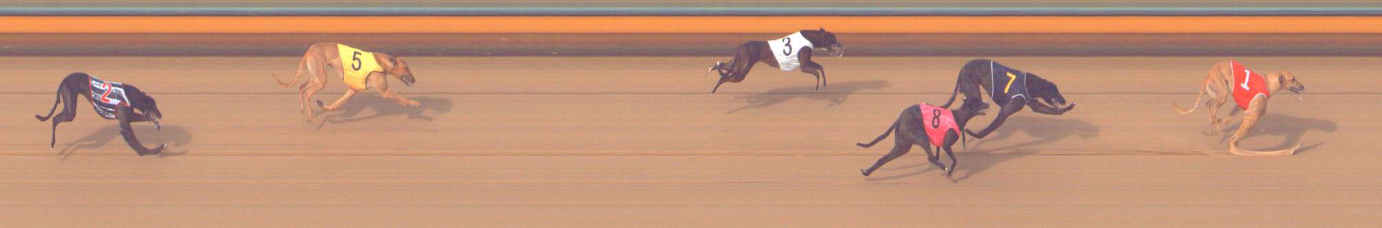 Photo finish for Bendigo Race 11