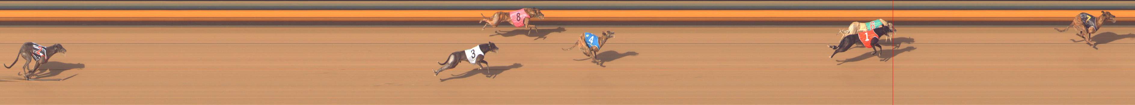 Photo finish for Bendigo Race 12