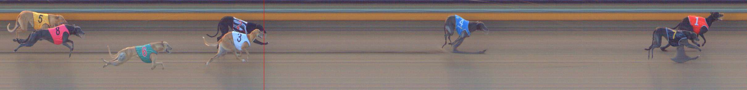 Photo finish for Bendigo Race 2