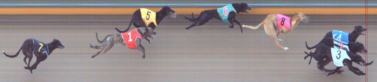 Photo finish for Bendigo Race 4