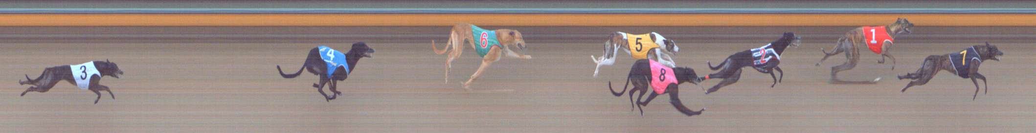 Photo finish for Bendigo Race 5