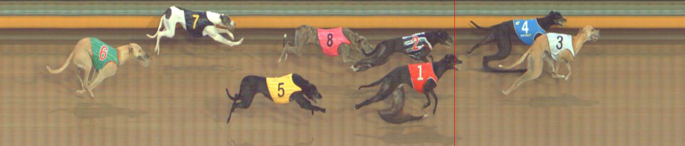 Photo finish for Bendigo Race 6