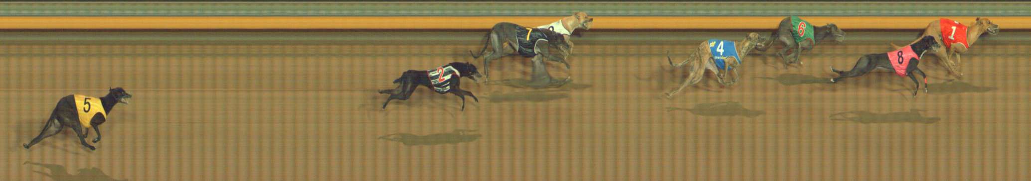 Photo finish for Bendigo Race 8