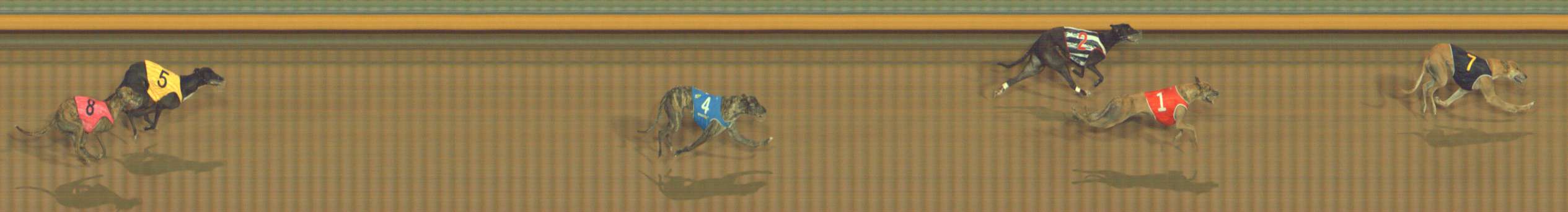 Photo finish for Bendigo Race 9