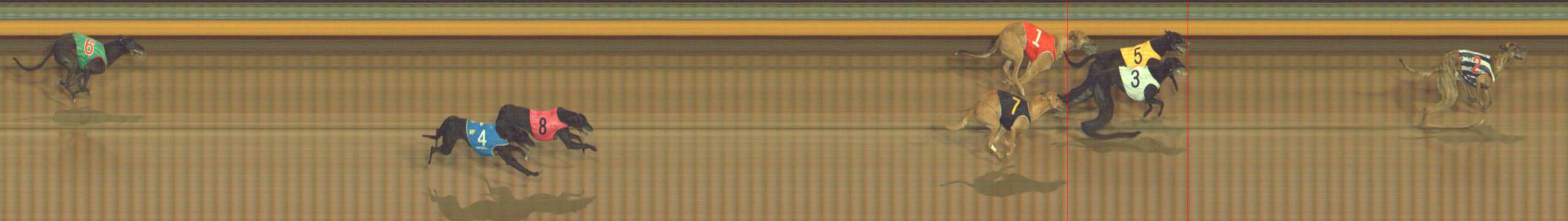 Photo finish for Bendigo Race 10
