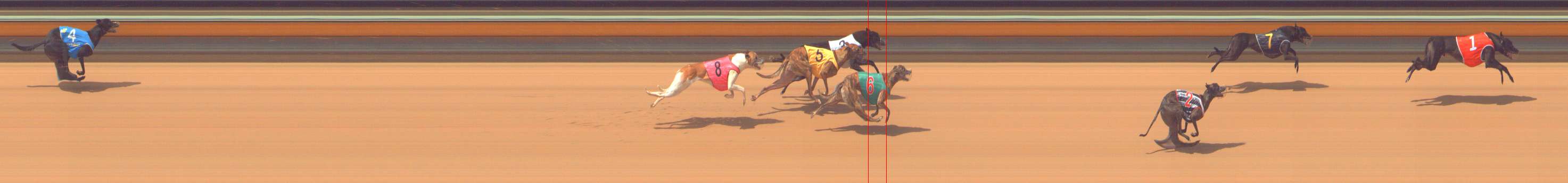 Race result finish photo