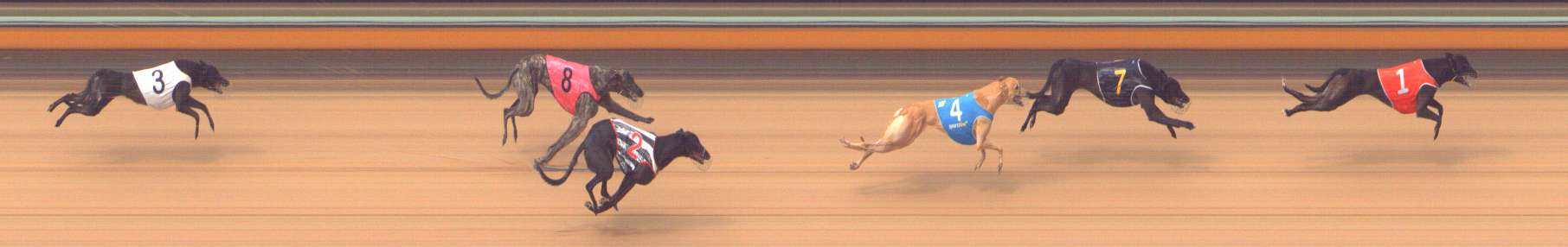 Race result finish photo