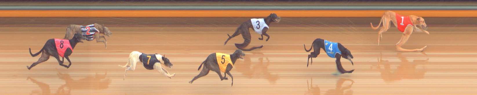 Race result finish photo