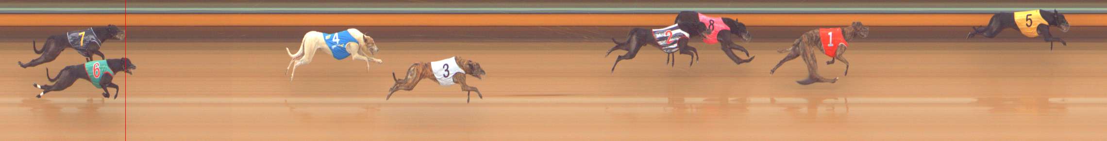 Race result finish photo