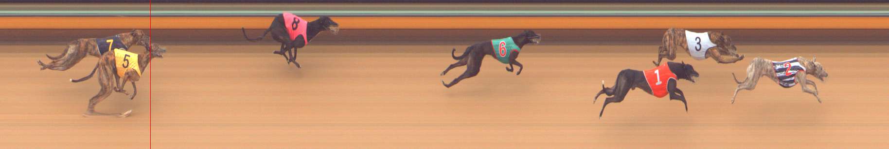 Race result finish photo