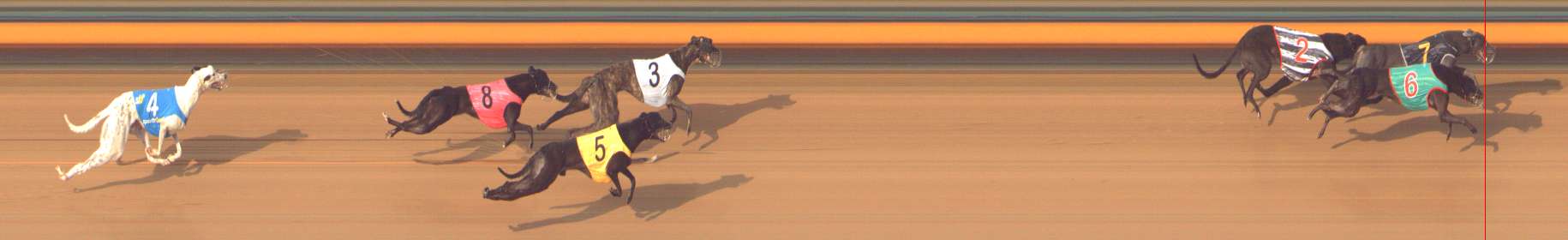 Race result finish photo