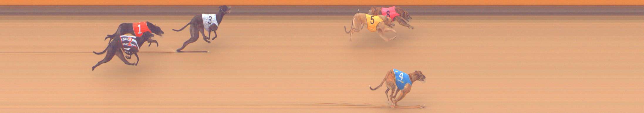 Race result finish photo