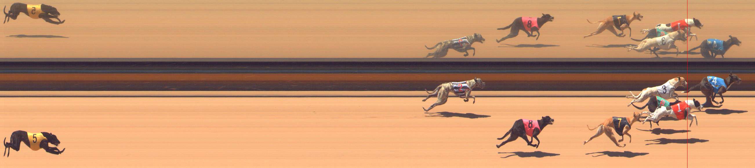 Race result finish photo