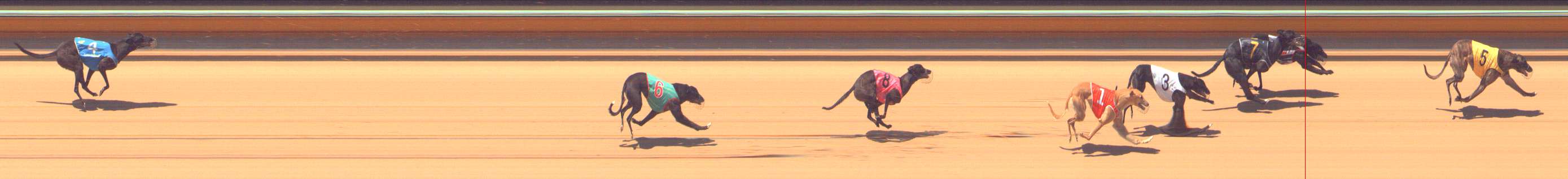 Photo finish for Bendigo Race 3