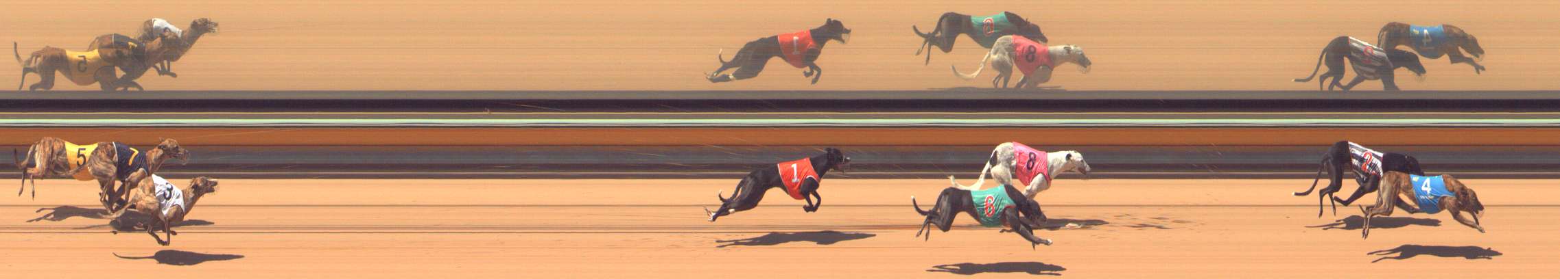 Photo finish for Bendigo Race 5
