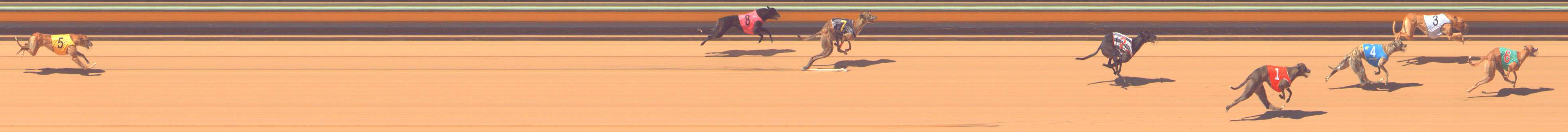 Photo finish for Bendigo Race 6