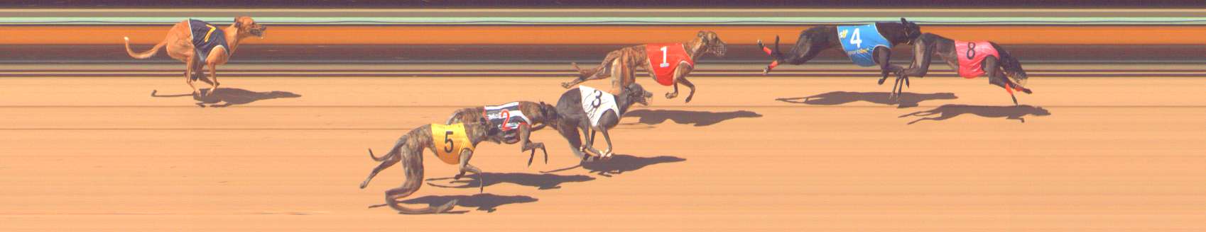 Photo finish for Bendigo Race 7