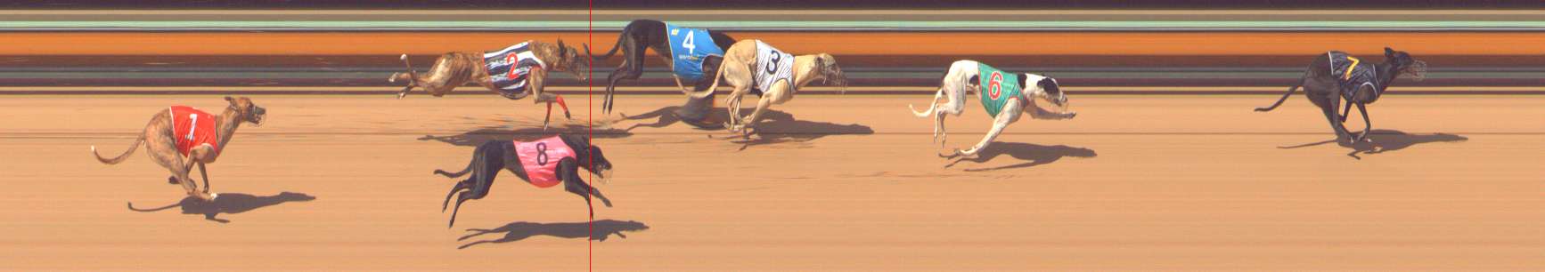 Photo finish for Bendigo Race 8