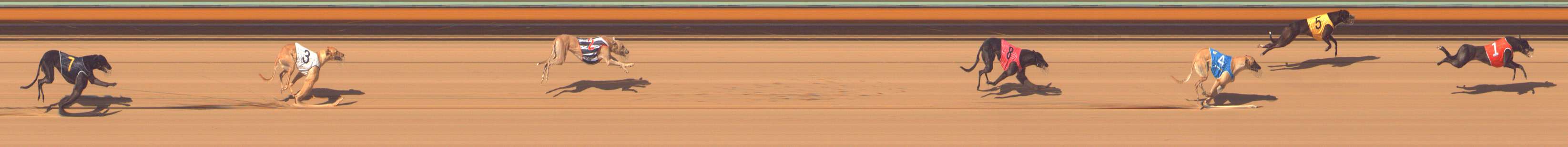Photo finish for Bendigo Race 9
