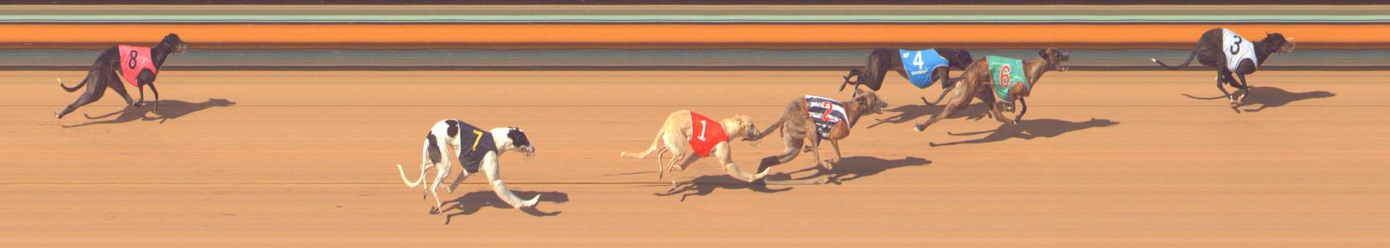 Photo finish for Bendigo Race 10