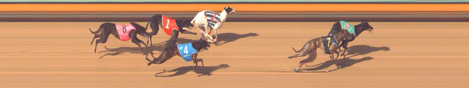 Photo finish for Bendigo Race 11