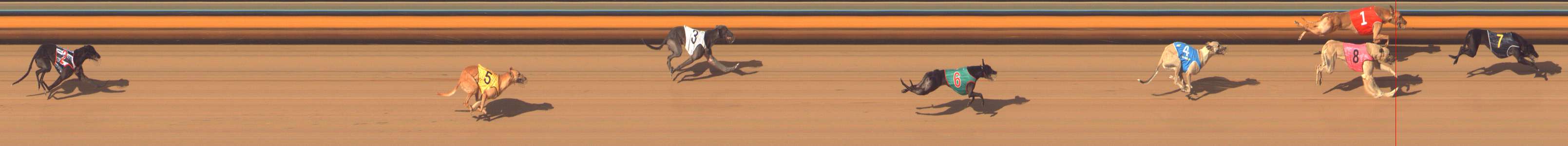Photo finish for Bendigo Race 12