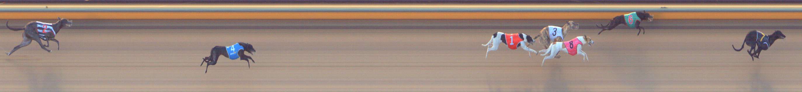 Race result finish photo