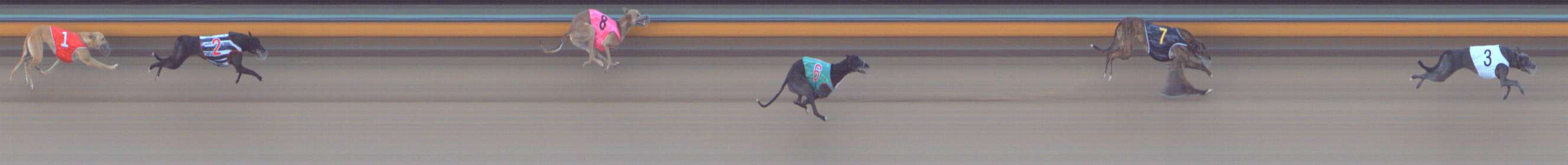 Race result finish photo