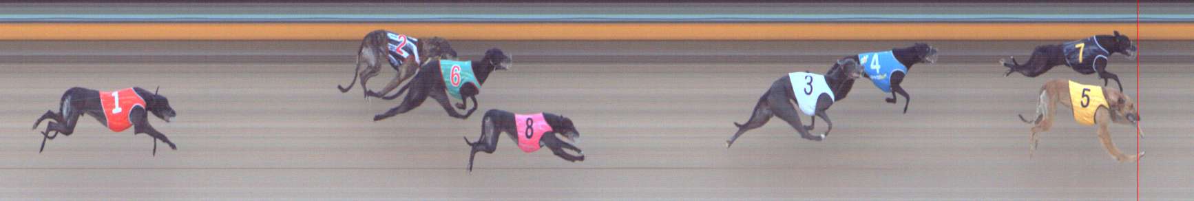 Race result finish photo