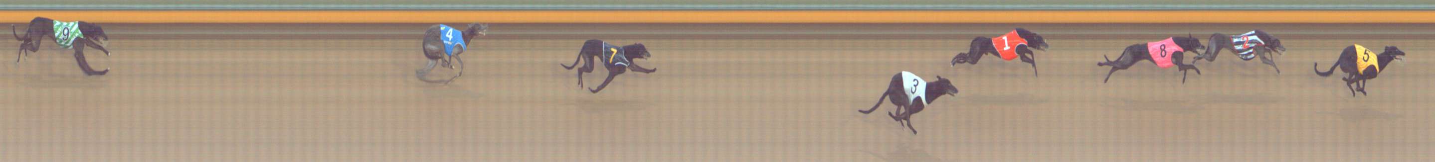 Race result finish photo