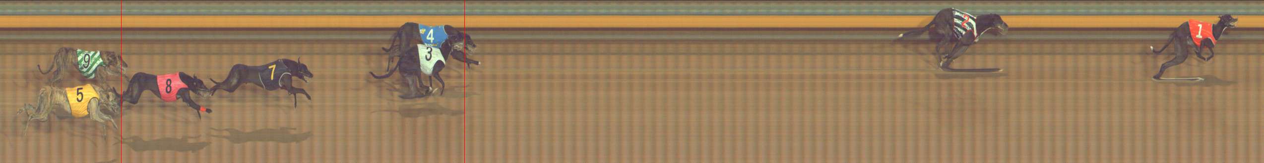 Race result finish photo