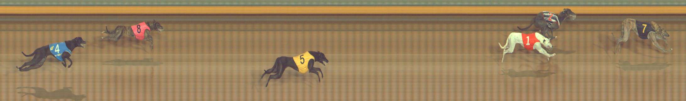 Race result finish photo