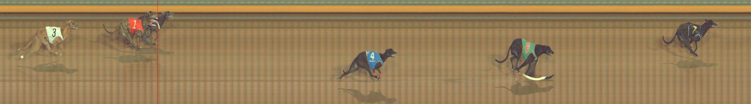 Race result finish photo