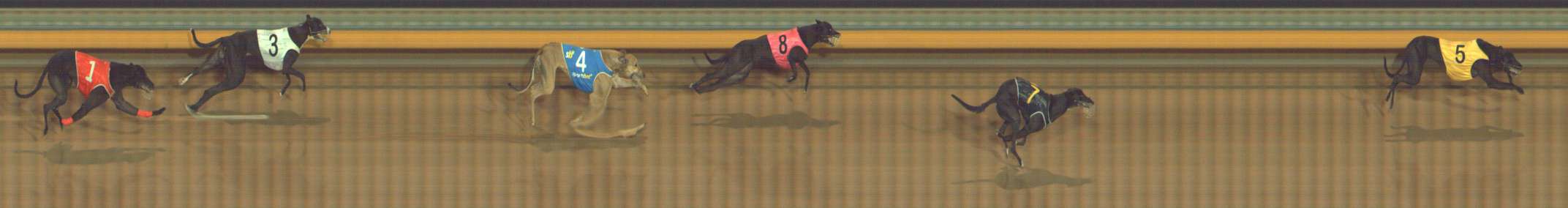 Race result finish photo