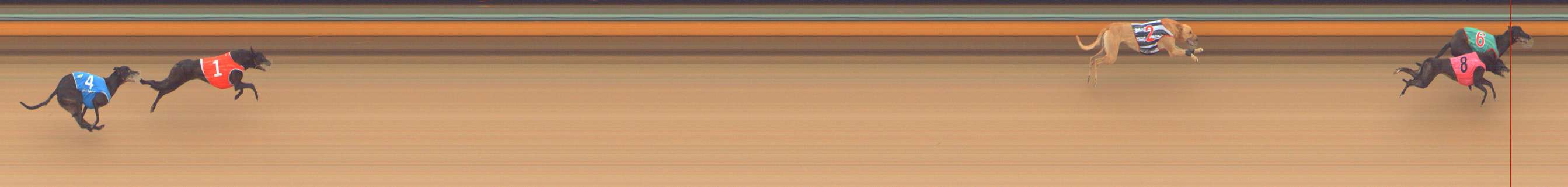 Photo finish for Bendigo Race 1