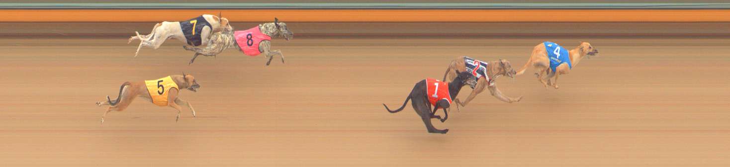 Photo finish for Bendigo Race 2