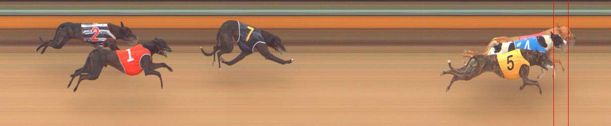 Photo finish for Bendigo Race 3