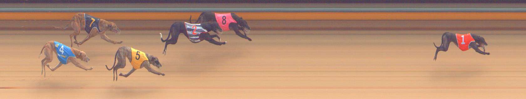 Photo finish for Bendigo Race 6