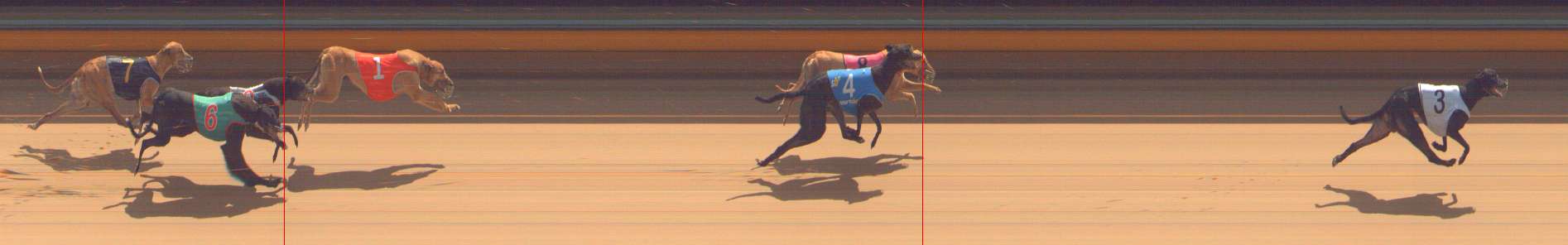 Photo finish for Bendigo Race 7