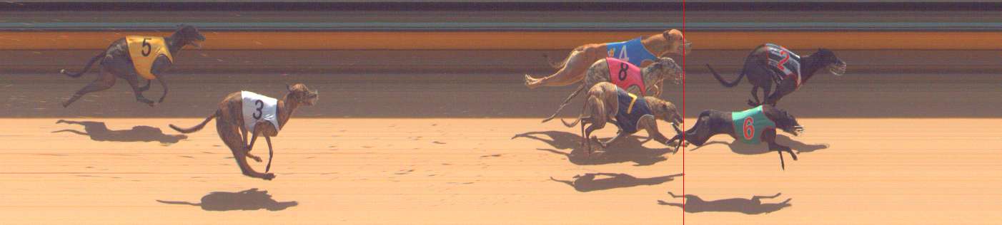 Photo finish for Bendigo Race 9