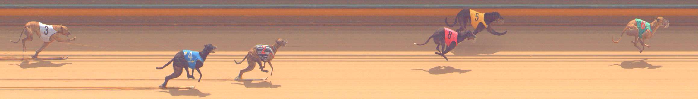 Photo finish for Bendigo Race 10